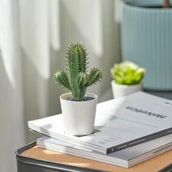 FEJKA - Tanaman tiruan dalam pot, dalam/luar ruang Kaktus, 6 cm