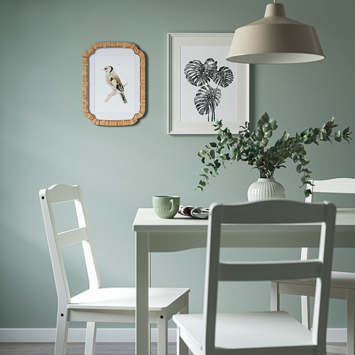 TRIVIALSKOG frame