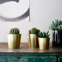 DAIDAI - Pot tanaman, warna kuningan, 9 cm