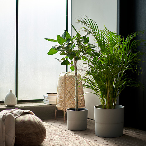 NYPON plant pot