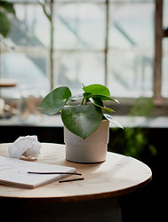 NYPON - Plant pot, in/outdoor grey, 12 cm