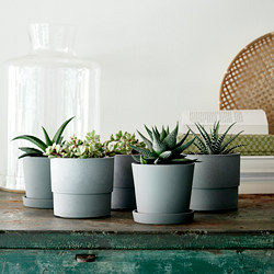 NYPON - Plant pot, in/outdoor grey, 9 cm