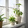 PERSILLADE - plant pot | IKEA Indonesia - PE958133_S1