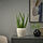 PERSILLADE - plant pot | IKEA Indonesia - PE958136_S1