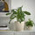 PERSILLADE - plant pot | IKEA Indonesia - PE958441_S1