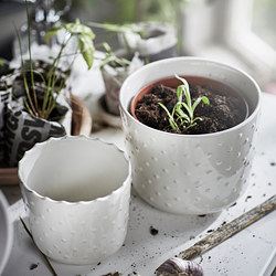 SESAMFRÖN - Plant pot, in/outdoor off-white, 9 cm