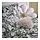 SKOGSDUVA - soft toy, hedgehog/beige, 21 cm | IKEA Indonesia - PH200469_S1
