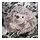 SKOGSDUVA - soft toy, hedgehog/beige, 21 cm | IKEA Indonesia - PH200458_S1