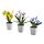 FEJKA - artifi potted plant w pot, set of 3, in/outdoor flower, 6 cm | IKEA Indonesia - PE959454_S1