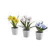 FEJKA - Artifi potted plant w pot, set of 3, in/outdoor flower, 6 cm