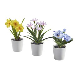 FEJKA - Artifi potted plant w pot, set of 3, in/outdoor flower, 6 cm