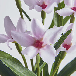 FEJKA - Artifi potted plant w pot, set of 3, in/outdoor flower, 6 cm