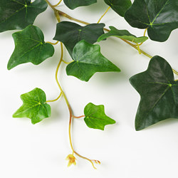 SMYCKA - Artificial garland, in/outdoor/Ivy green, 1.5 m