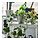 CITRONMELISS - plant pot, in/outdoor/grey, 15 cm | IKEA Indonesia - PH194584_S1
