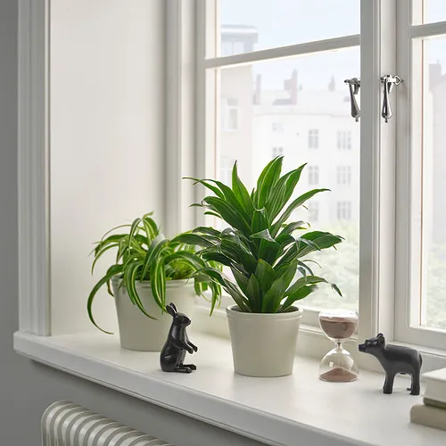 KÖRSBÄRSBJÖRK plant pot