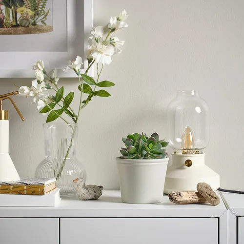 KÖRSBÄRSBJÖRK plant pot