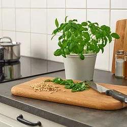 KÖRSBÄRSBJÖRK - Pot tanaman, abu-abu muda-krem, 12 cm