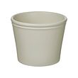 KÖRSBÄRSBJÖRK - Pot tanaman, abu-abu muda-krem, 12 cm