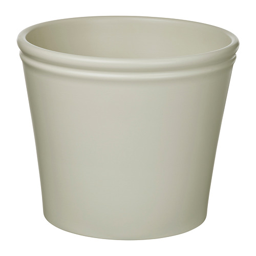 KÖRSBÄRSBJÖRK pot tanaman