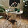 MÅBÄRSSKÄR coffee table