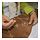 ÅKERNEJLIKA - cushion cover, brown embroidery, 50x50 cm | IKEA Indonesia - PE930595_S1