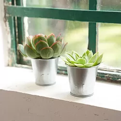 ÅKERBÄR - Plant pot, in/outdoor/galvanised, 6 cm