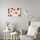 BILD - poster, flowers-transparent, 70x50 cm | IKEA Indonesia - PE930997_S1