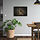 PJÄTTERYD - picture, flowers-against a black wall, 70x50 cm | IKEA Indonesia - PE931009_S1