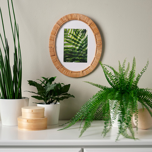 TRIVIALSKOG frame