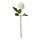 SMYCKA - artificial flower, in/outdoor/Rose white, 40 cm | IKEA Indonesia - PE960952_S1