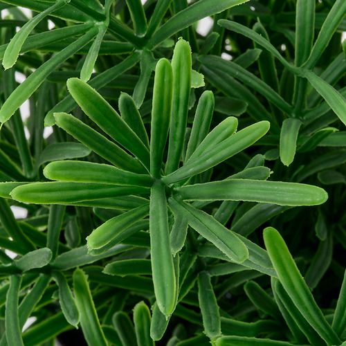 FEJKA artificial potted plant