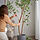 FEJKA artificial potted plant