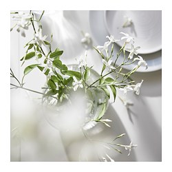 LUGNARE - Scented candle in glass, Jasmine/pink, 20 hr