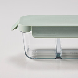 HAVSTOBIS - Lunch box, transparent/light green, 700 ml