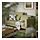 SLATORP - 2-seat sofa, Vissle yellow-green | IKEA Indonesia - PE961853_S1