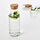 IKEA 365+ - carafe with stopper, clear glass/cork, 0.5 l | IKEA Indonesia - PE932402_S1