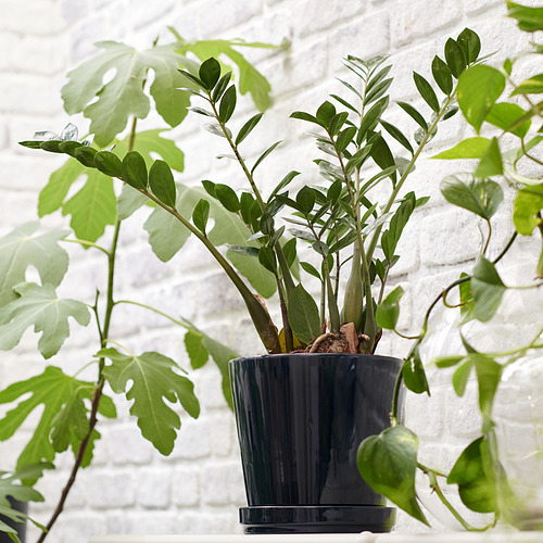 KLOTLÖNN plant pot with saucer