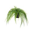 FEJKA - Artificial potted plant, in/outdoor hanging/fern, 12 cm