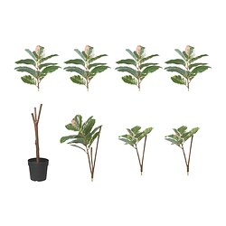 FEJKA - Tanaman tiruan dalam pot, dalam/luar ruang pohon karet, 23 cm