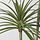 FEJKA - artificial potted plant, in/outdoor Dracena, 23 cm | IKEA Indonesia - PE898047_S1