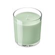 LOTSFÅGEL - Scented candle in glass, Apple light green, 40 hr