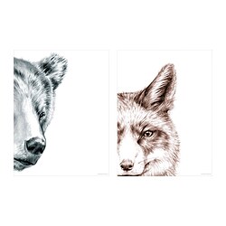 BILD - Poster, bear and fox, 30x40 cm