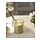 LÖVSKOGSLUND - scented candle in glass, Apple/light yellow, 20 hr | IKEA Indonesia - PE963918_S1