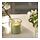 LÖVSKOGSLUND - scented candle in glass, Apple/light yellow, 20 hr | IKEA Indonesia - PE963922_S1