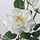 SMYCKA - artificial flower, in/outdoor/Rose white, 65 cm | IKEA Indonesia - PE899376_S1