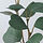 SMYCKA - ranting hiasan, dalam/luar ruang/eucalyptus, 29 cm | IKEA Indonesia - PE899378_S1