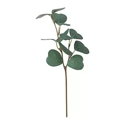 SMYCKA - Ranting hiasan, dalam/luar ruang/eucalyptus, 29 cm