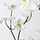 SMYCKA - ranting hiasan, dalam/luar ruang/Bunga dogwood putih, 100 cm | IKEA Indonesia - PE899382_S1