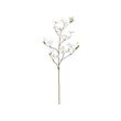 SMYCKA - Artificial spray, in/outdoor/Dogwood white, 100 cm