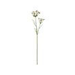 SMYCKA - Artificial flower, queen ann/stem pink, 65 cm